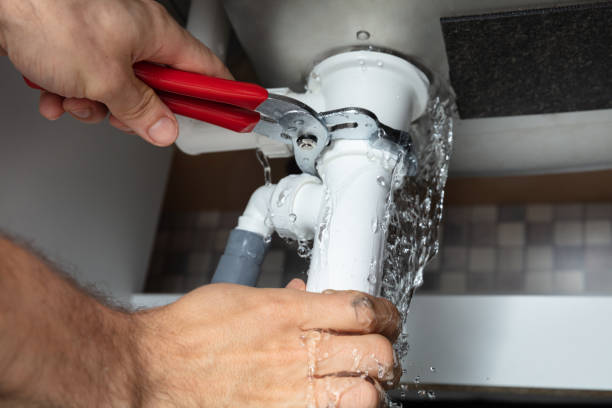 Best Local water damage restoration  in Maysville, GA