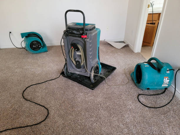 Best Water damage restoration near me  in Maysville, GA