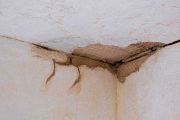 Best 24-hour water damage restoration  in Maysville, GA
