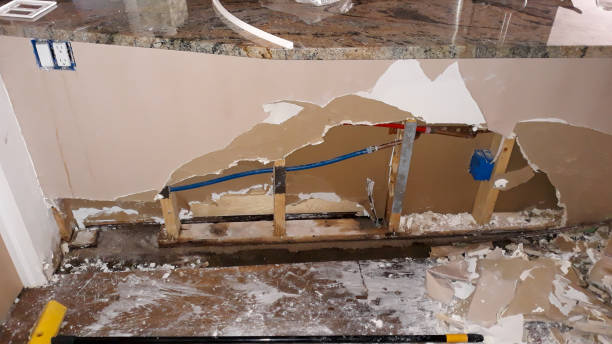 Best Flood damage cleanup  in Maysville, GA
