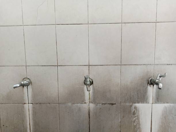 Best 24/7 water damage repair  in Maysville, GA