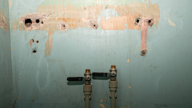 Best Basement water damage restoration  in Maysville, GA