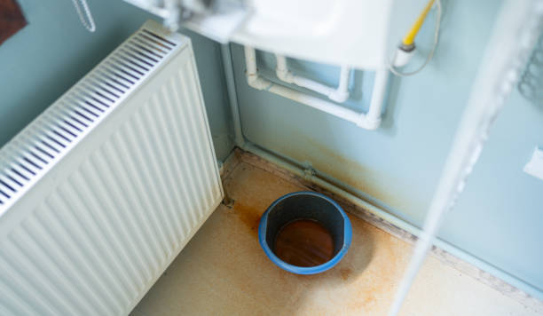 Best Professional water damage repair  in Maysville, GA