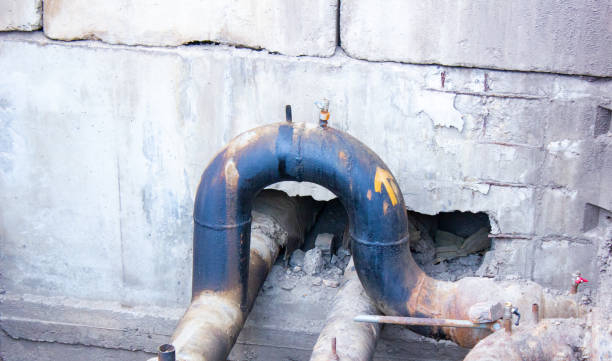 Best Water damage mitigation services  in Maysville, GA