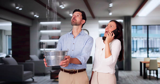 Best Mold removal after water damage  in Maysville, GA