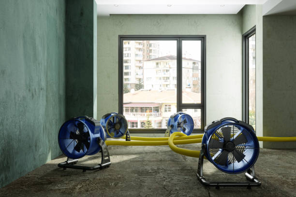 Best Local water damage restoration  in Maysville, GA